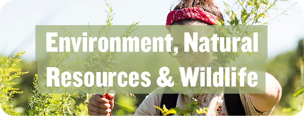 Environment Natural Resources Wildlife Successworks Uw Madison